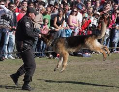 Employee of Ukraine Department of the Interior