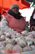 Sale of garlic