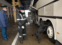 Военнослужащий с собакой