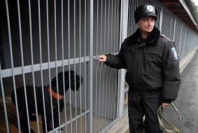A cynologist stands near a cage with a dog