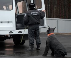 Cynologist with an official dog