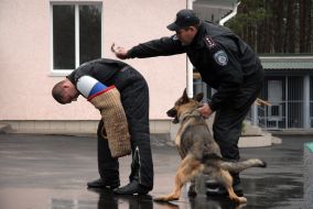 A dog attacks ”criminal”