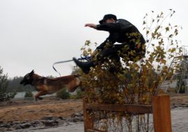 Cynologist with the sheep dog