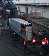 Unloading of cages with hippopotamuses females