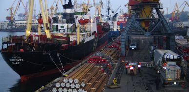 Unloading of cages with hippopotamuses females