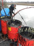 Fuel oil is in barrels