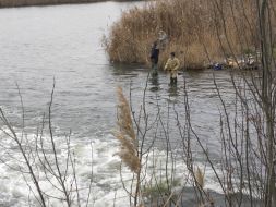 Fishermen fish