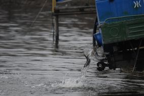 Settling of the river by fish