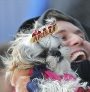 Fan of FC Arsenal (Kiev)