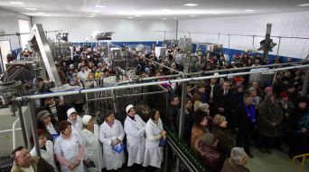 Workers of vine-making factory