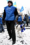 Party of regions supporter with a dog
