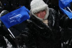 Party of regions supporter