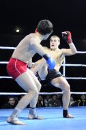 Sergey Faustov and Ivan Zagubynoga
