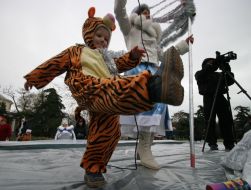 A boy in the suit of tiger