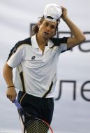David Ferrer