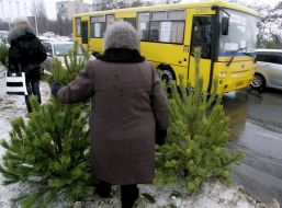 Illegal fir-tree market