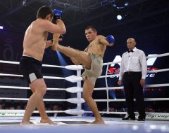 Andrey Prezyuk and Sergey Grechka