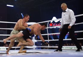 Andrey Prezyuk and Sergey Grechka