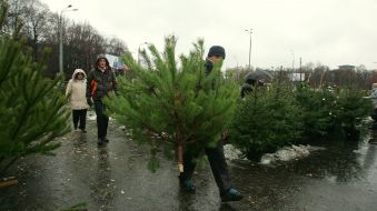 A man takes away the bought fir-tree