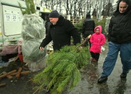 A man takes away the bought fir-tree