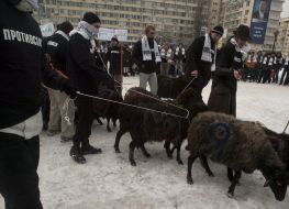 Participants of action of protest