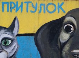 Собака и кот