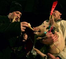 Participants of a carnival