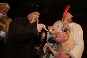 Participants of a carnival