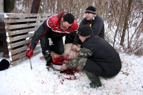 Participants of butchers festival