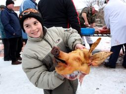 Голова свиньи