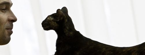 A man looks at his cat