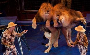 Veronika Pinko and Aleksey Pinko