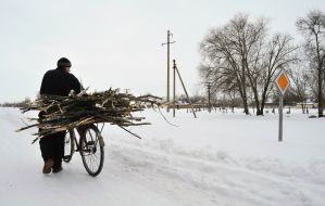 A man drives a brushwood