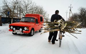 A man drives a brushwood