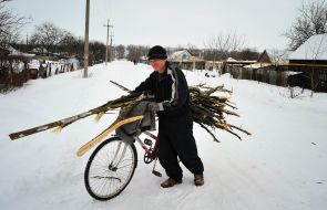 A man drives a brushwood