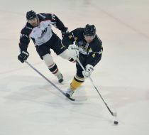 ХК «Донбас» (Донецьк) - ХК «Білий Барс» (Бровари)