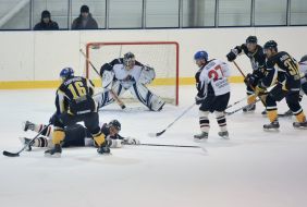 ХК «Донбас» (Донецьк) - ХК «Білий Барс» (Бровари)