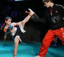 Участники фестиваля боевых единоборств