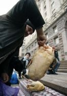 Учасник пікету тримає тушку індички