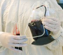 Container and test tubes with donor blood
