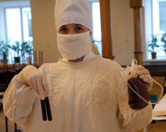 Container and test tubes with donor blood