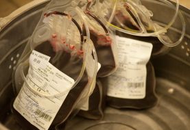 Containers with donor blood