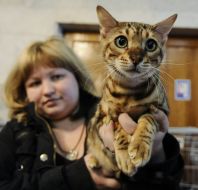 Дівчина демонструє свого кота