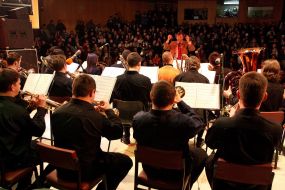 Participants of orchestra