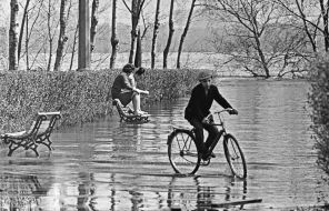 A boy goes for a drive on a bicycle