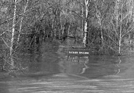 River Dnepr during the flood