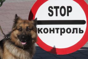 Службовий собака