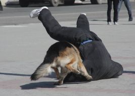 Прикордонник