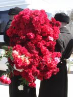 Почесна варта