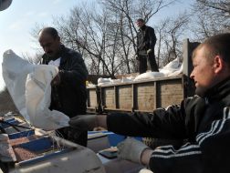 Workers fall asleep in the seeding-machine